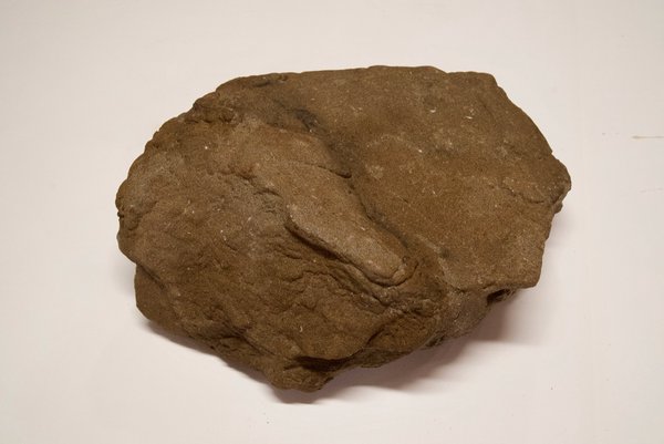 3d: This is not a rock.
