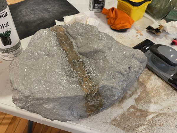 3d: This is not a rock.
